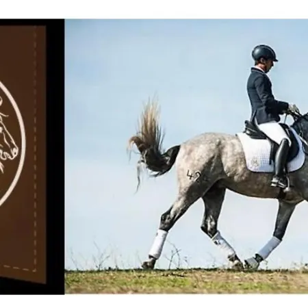 Beachfront - Beachside With Stunning Sea Views Lejlighed *